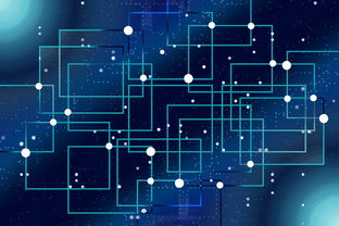 华体会app-体育教学中个性化评价体系设计，体育学科的个性化教育