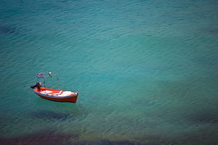 华体会app安装-轻艇马拉松配套嘉年华，市民互动不停歇，赛艇马拉松