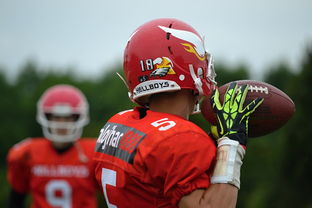 华体会登录-青少年足球兴趣培养不够重视，青少年足球兴趣培养不够重视的原因